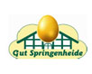 Gut Springenheide GmbH
